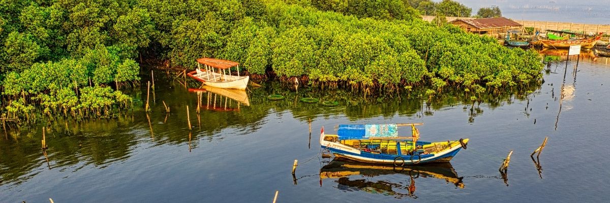 Göl Evi Taşınmasında Komşuluk İlişkileri Nasıl Kurulur