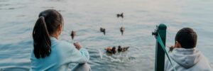 Çocuklarla Göl Kenarında Doğa Eğitimi Nasıl Planlanır