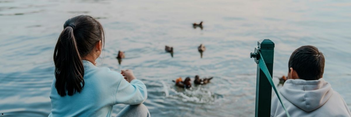 Çocuklarla Göl Kenarında Doğa Eğitimi Nasıl Planlanır